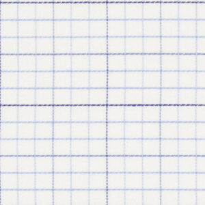 N6-3858548 Blue Check
