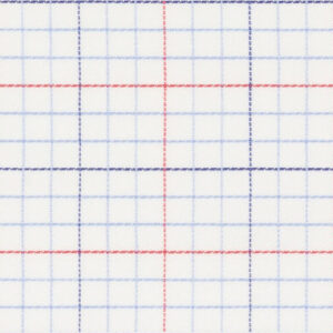 N6-3858550 Red Blue Check