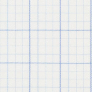 N6-3858552 Blue Check