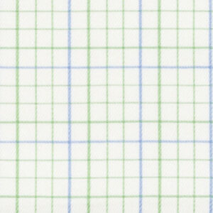 N6-3858555 Green Blue Check