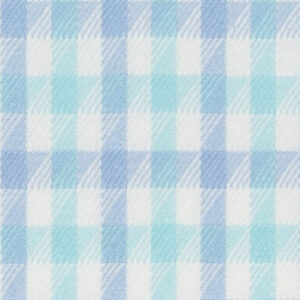 N6-3858568 Aqua Blue Check