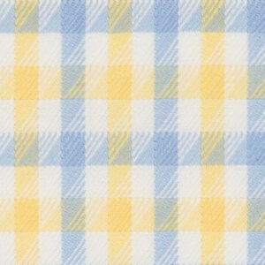 N6-3858569 Yellow Blue Check
