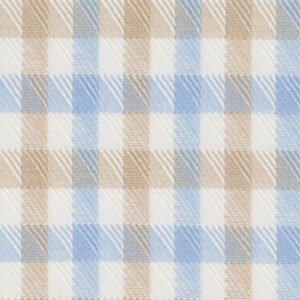 N6-3858570 Grey Blue Check