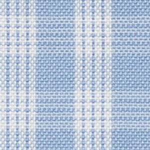 N6-3858588 Blue Check