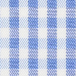 N6-3858598 Blue Ecru Check