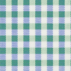 N6-3858601 Green Blue Ecru Check