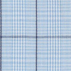 N6-3858602 Blue Black Check