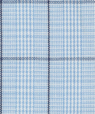 N6-3858602-SWATCH N6-3858602 Blue Black Check