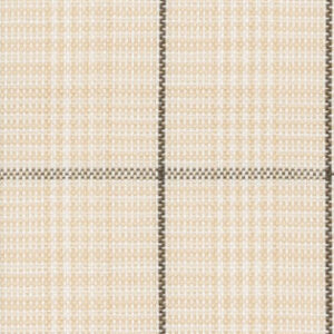 N6-3858605 Tan Charcoal Check