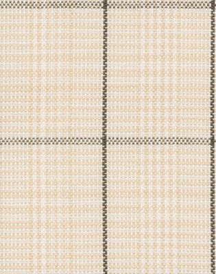 N6-3858605-SWATCH N6-3858605 Tan Charcoal Check