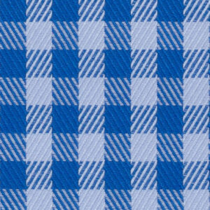 N6-3858608 Royal Lt Blue Check