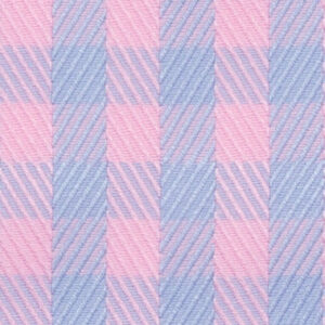 N6-3858609 Pink Lt Blue Check