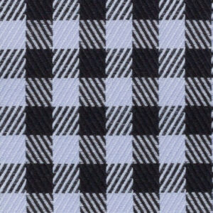 N6-3858611 Black Lt Blue Check