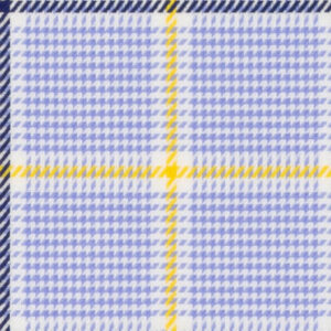 N6-3858621 Yellow Navy Lavender Check