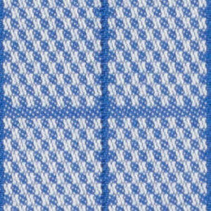 N6-3858627 Royal Lt Blue Check