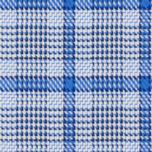 N6-3858635 Blue Plaid