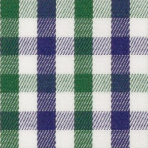 N6-3858642 Green Navy Check