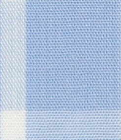 N6-3858643 Lt Blue Check