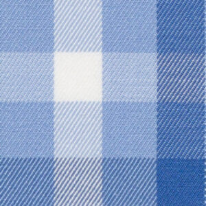 N6-3858648 Lt Blue Blue Check