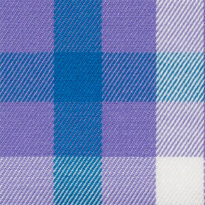 N6-3858649 Violet Turquoise Check