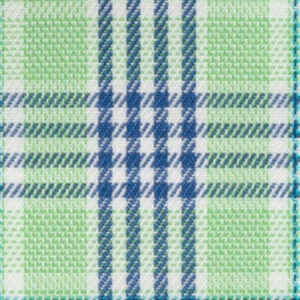 N6-3858655 Green Navy Check