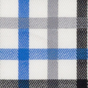 N6-3858664 Grey Royal Black Check