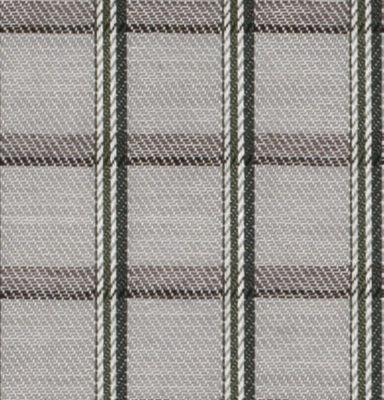 P5-3642988-SWATCH
