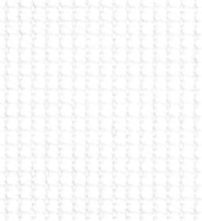 TR-3756419 White Micro Check