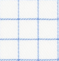 TR-3756487 Lt Blue Windowpane