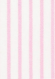 TR-3756503 Pink Pinstripe