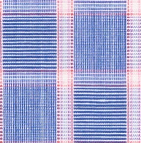 TR-3756548 Pink End on End Check
