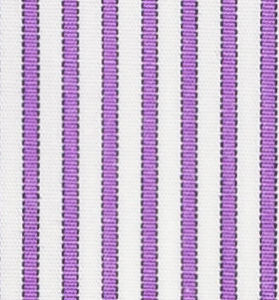 TR-3756564 Violet Candy Stripe