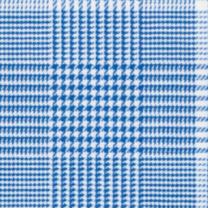 TR-3756576 Blue Glen Plaid