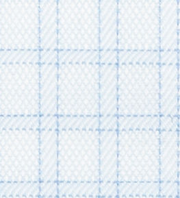 TR-3756579 Lt Blue Check Dobby