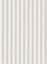 TR-3756591 Grey Hairline Twill