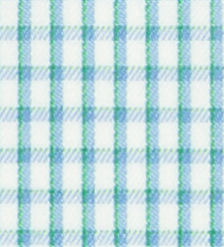 TR-3756601 Lt Blue/ Green Graph Check Twill