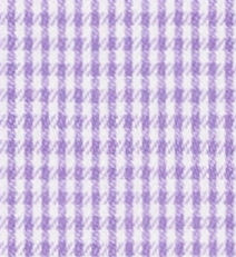 TR-3756606 Violet Micro Gingham Check