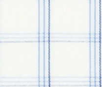 TR-3756611 Blue Broadcloth Check