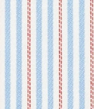 TR-3756623 Blue/Red Stripe Twill