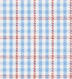 TR-3756637 Blue/Red Check Twill