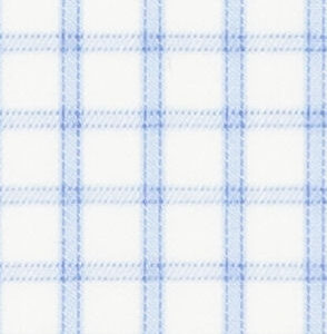 TR-3756640 Lt Blue Check Twill