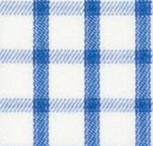 TR-3756641 Blue Check Twill