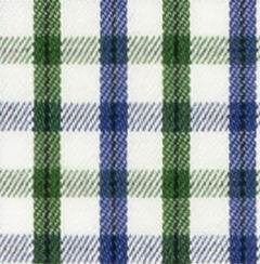 TR-3756661 Navy/Green Sport Check Twill