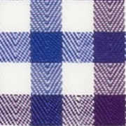 TR-3756663 Blue/Purple Sport Check Twill