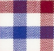 TR-3756664 Blue/Red Sport Check Twill