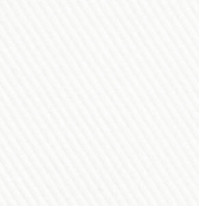 TR-3756670 White Twill