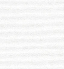 TR-3756680 White Broadcloth 160's
