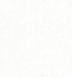 TR-3756684 White Broadcloth