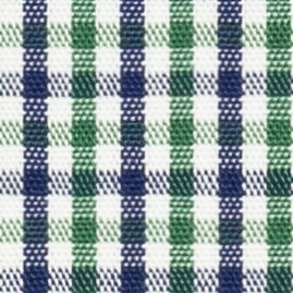 TR-3756747 Green/Navy Tattersall Check