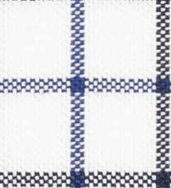 TR-3756748 Blue/Navy Windowpane Oxford